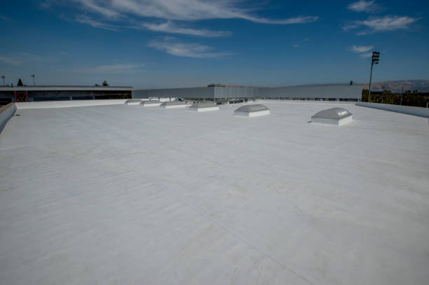 Best Roof Moss and Algae Removal  in Colfax, IA
