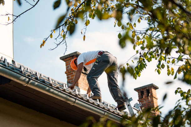 Best Solar Panel Roofing Installation  in Colfax, IA