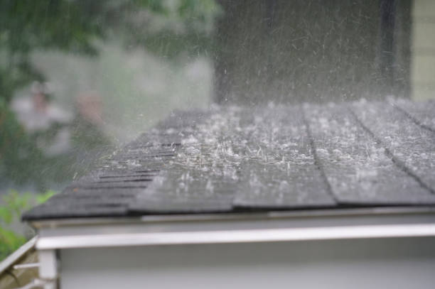 Best Cold Roofs  in Colfax, IA