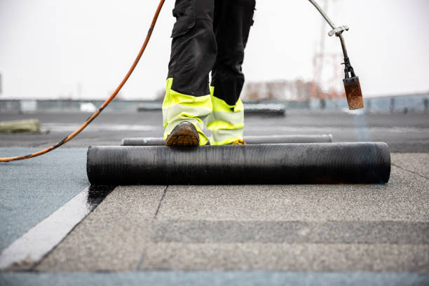 Best Roof Insulation Installation  in Colfax, IA